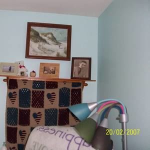 Meet your Posher, Dorothy